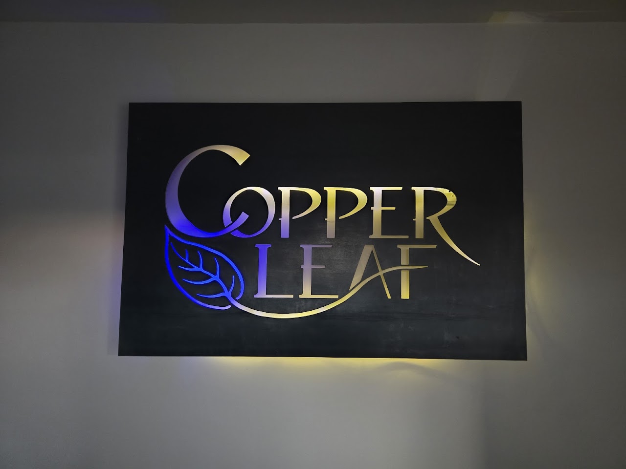 Copper Leaf Pools project